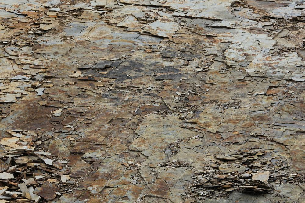Walk Where Giants Roamed at Dinosaur Ridge