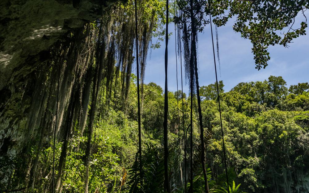 Wander Through Nature: Discover Hidden Lagoons at Reserva Ecologica Ojos Indigenas