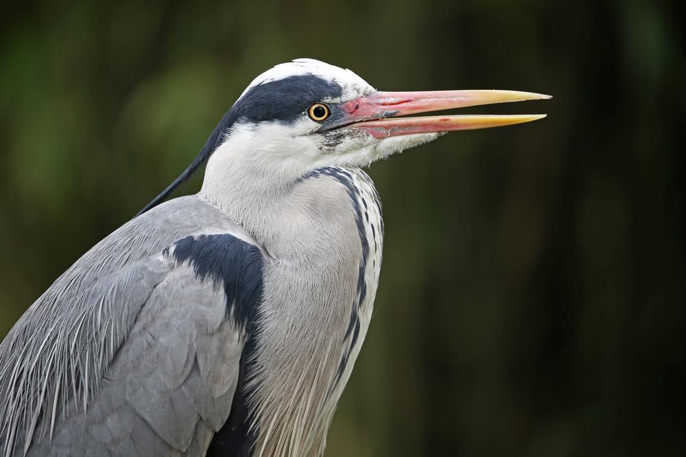 Hike wooded trails or discover wildlife exhibits on an affordable nature trip.