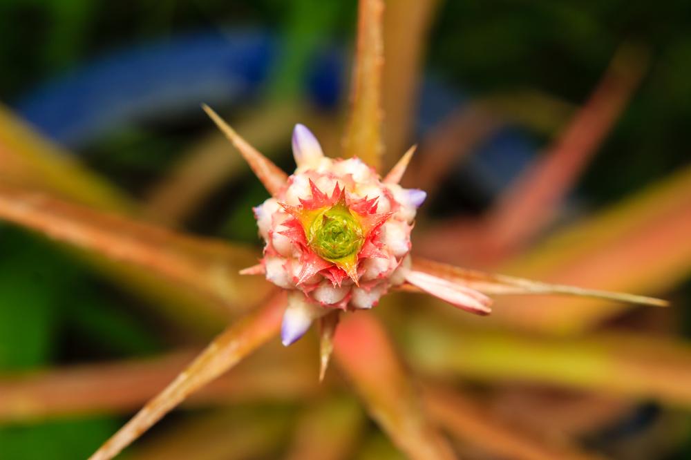 Walk shaded trails or admire tropical plants during a spring afternoon.