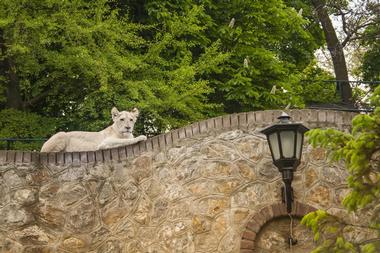Belgrade Zoo