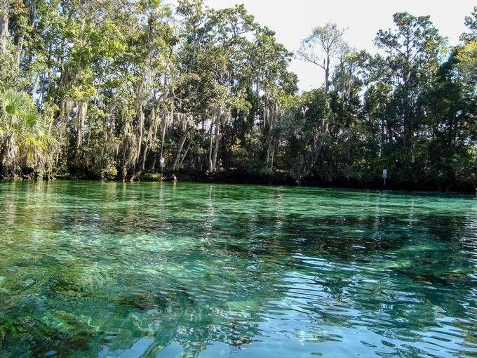 16 Best Things to Do in Crystal River, Florida