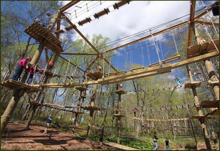 Climb, Zip, and Conquer the Trees at The Adventure Park