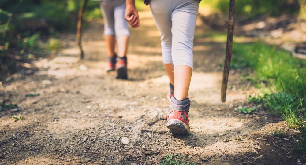 Climb Higher on the Buffalo Mountain Trail