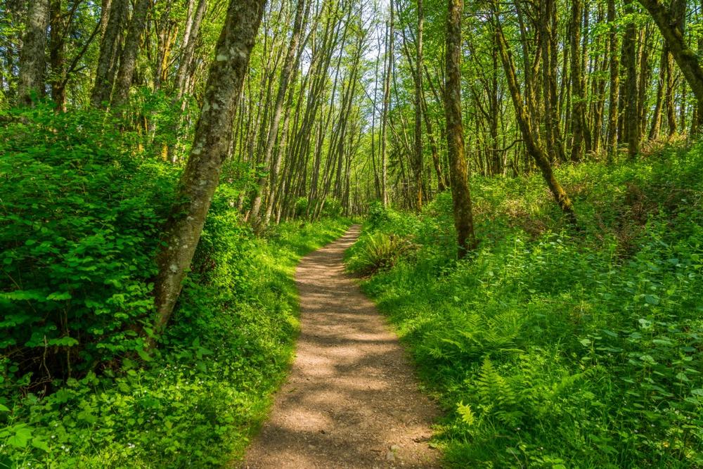 Walk along wooded trails or spot local wildlife.