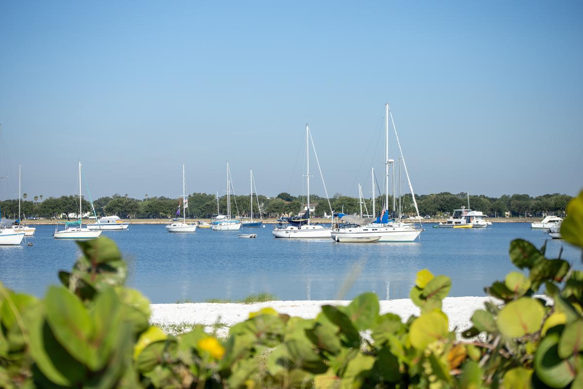 Relax with your dog and stroll the shoreline on a low-key afternoon visit.