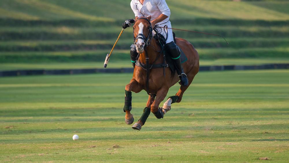 Experience Polo Culture and Scenic Matches at Eldorado Polo Club