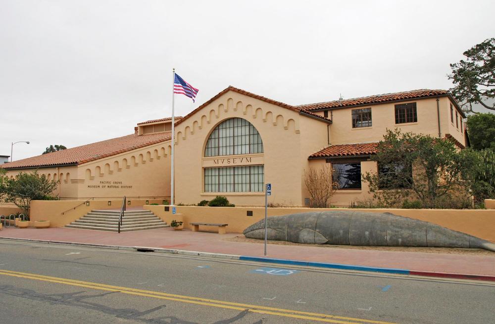 Explore Local Ecology at the Pacific Grove Museum of Natural History