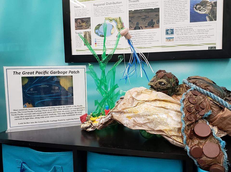 Explore Marine Life at the St. Lucie County Aquarium