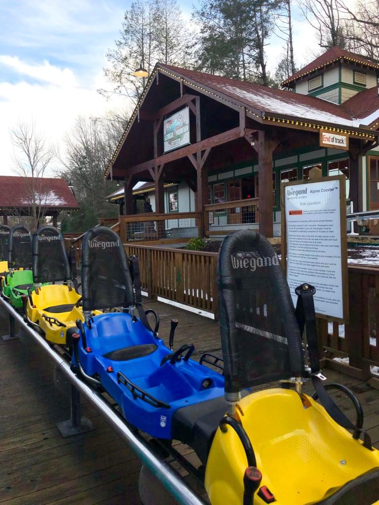 Feel the Rush on the Georgia Mountain Coaster