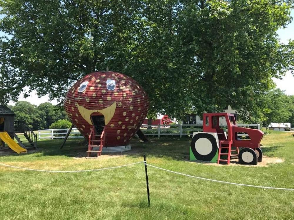 Find Fall Fun and Flavors at Walnut Springs Farm