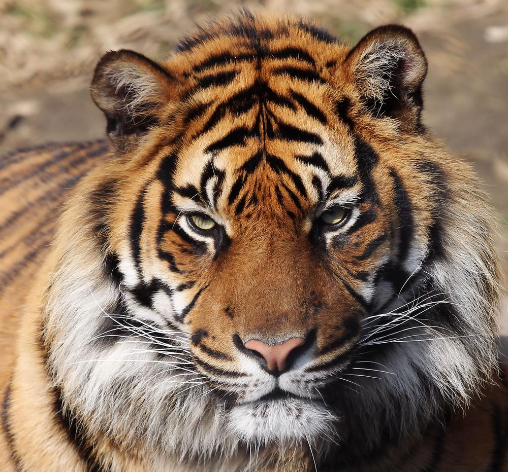 Visit playful animals and explore natural habitats with the kids.