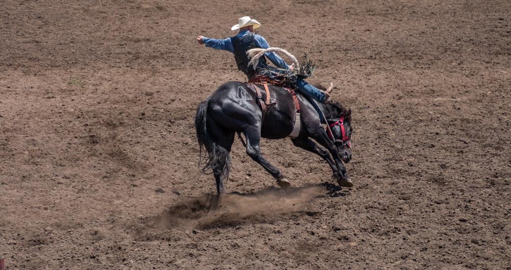 Get Tickets to See the Snowmass Rodeo