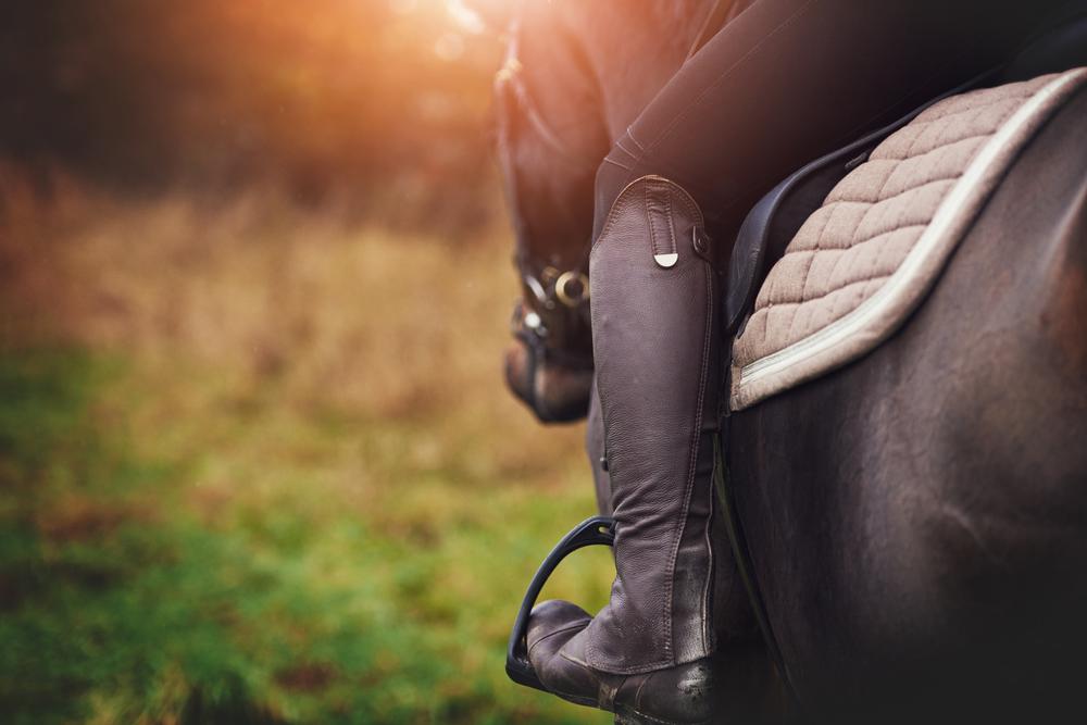 Hike, Fish, and Relax in Nature at Gibbs Lake County Park