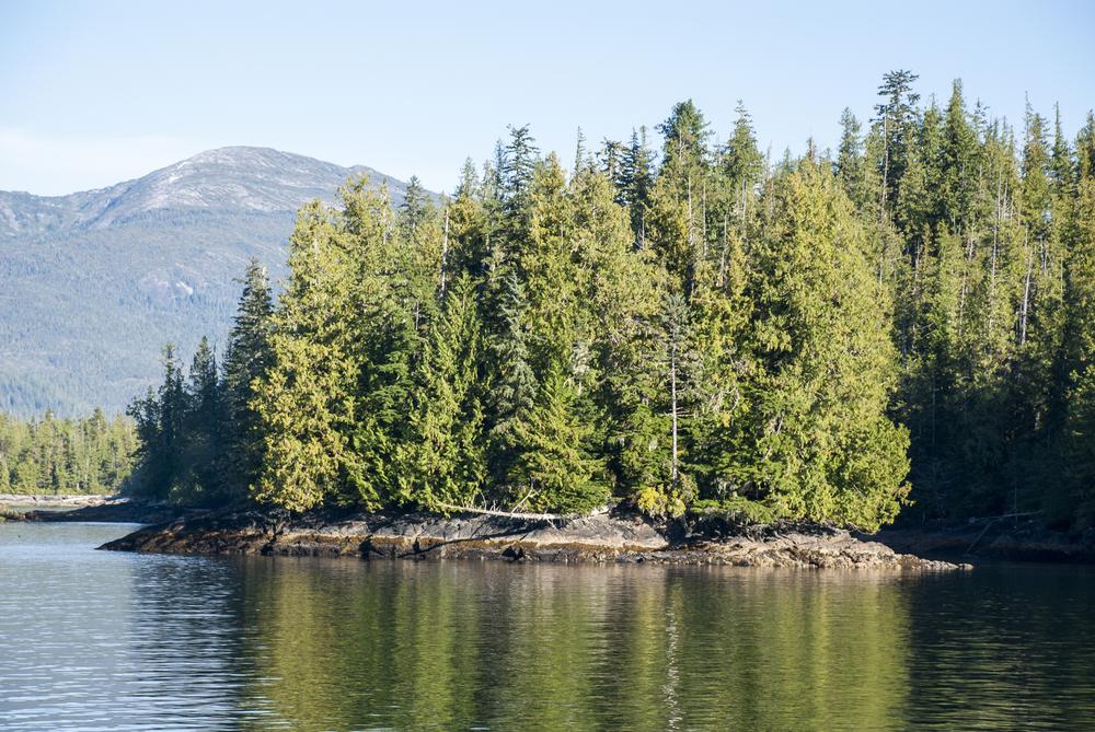 Hike, Fish, and Roam the Largest Temperate Rainforest at Tongass National Forest
