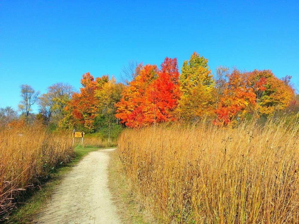 Hike, Ski, or Spot Wildlife at Gordon Bubolz Nature Preserve and Reconnect Outdoors