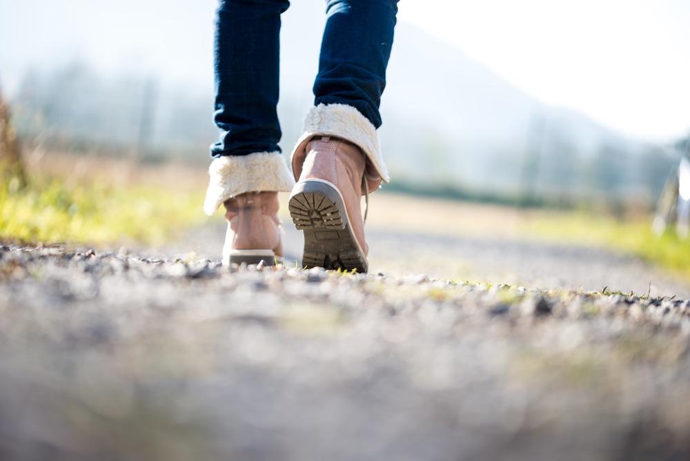 Hike the Branford Trail for Wooded Paths and Water Views