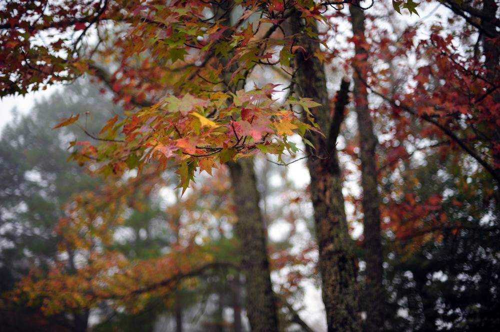 Hike to Stunning Blufftop Views on the Mossy Bluff Buckeye Trail