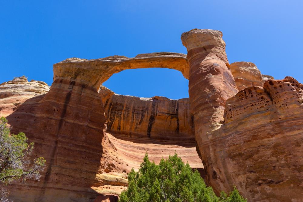 https://stock.adobe.com/gr_en/images/east-rim-arch-at-rattlesnake-canyon-in-mcinnis-canyons-national-conservation-area-colorado-state-usa/215612644