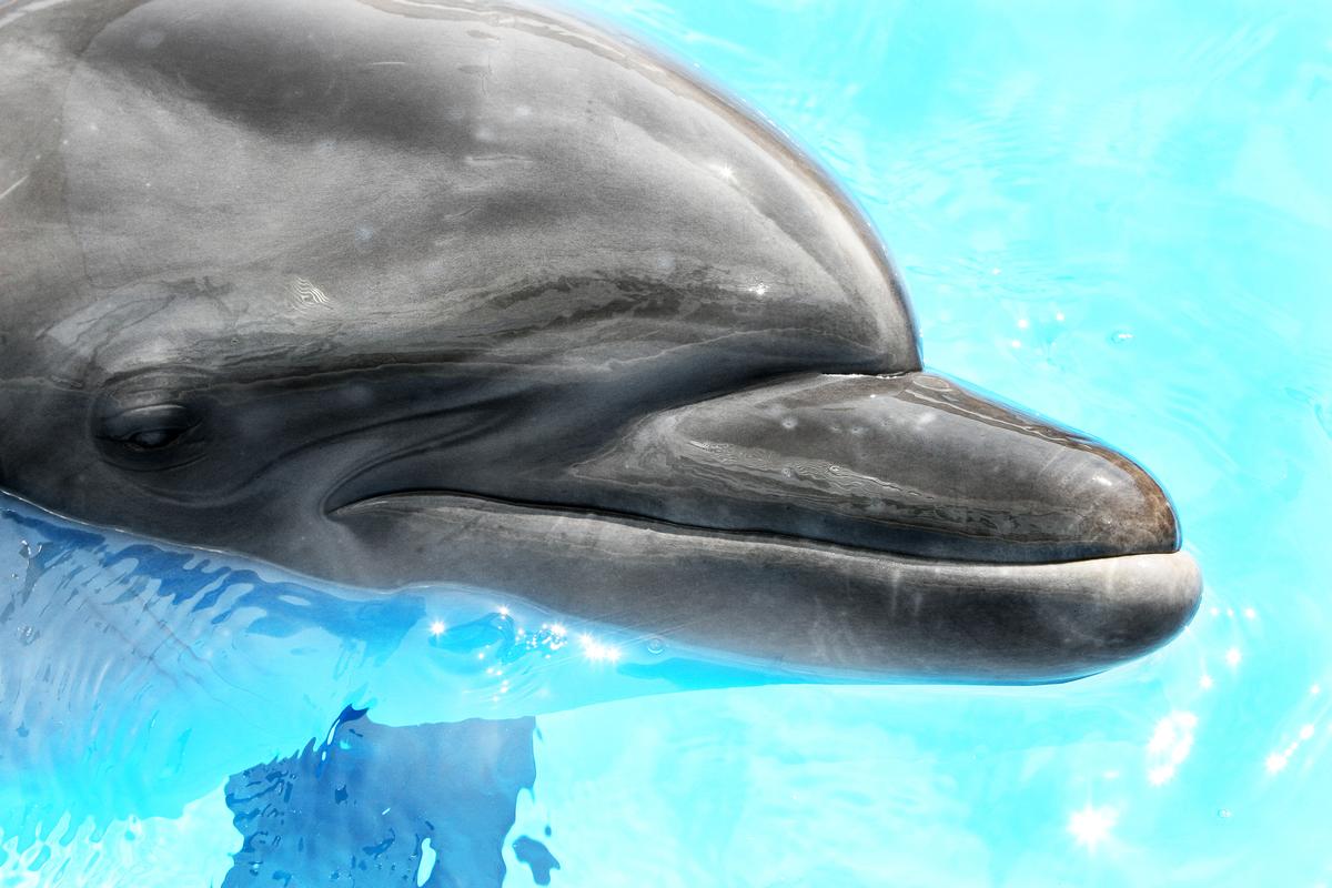 See sharks, touch stingrays, and enjoy an exciting, educational marine adventure.