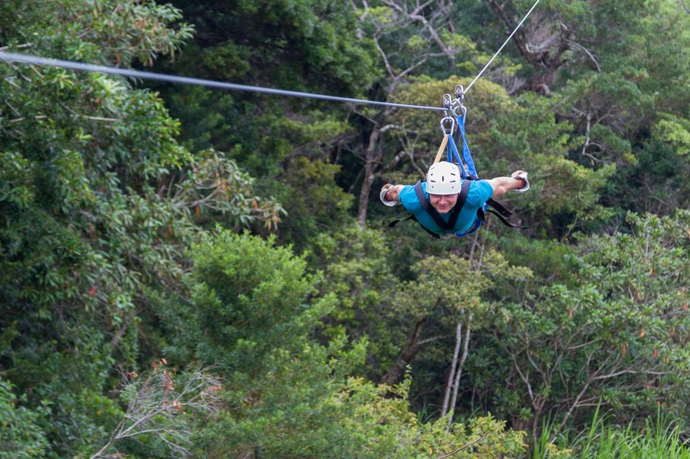 If You’re Up for High-Flying Adventure, Go Wild with Alpine Adventures
