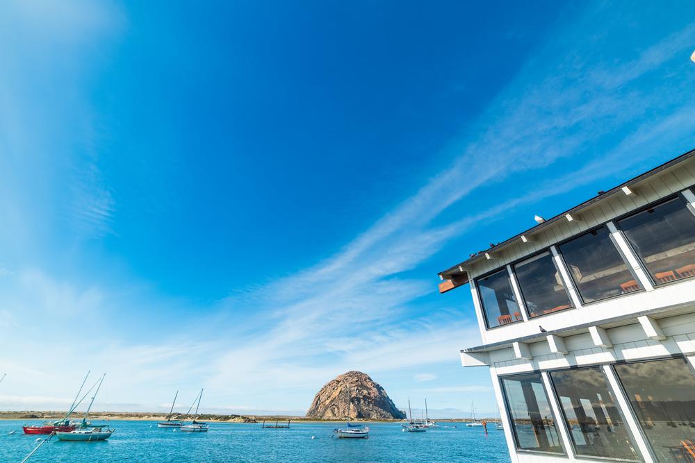 Learn, Explore, and Gaze Across Scenic Waters at Morro Bay’s Natural History Museum