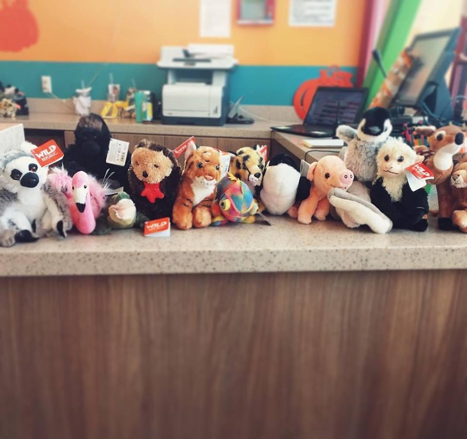 Let Curiosity Run Wild at ImagineU Children’s Museum