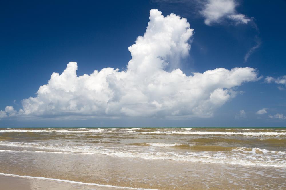 Take the kids to Magnolia Beach