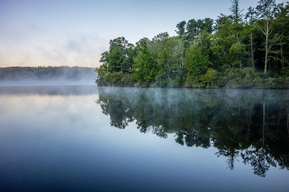 Picnic, Paddle, or Hike Through Julian Price Memorial Park