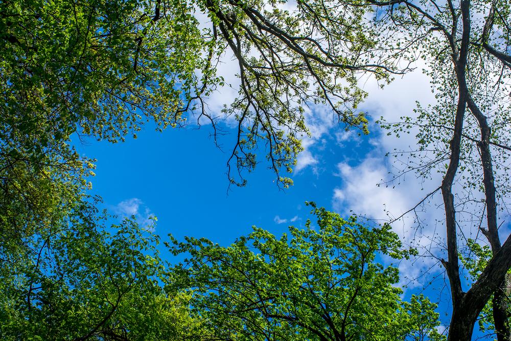Play, Picnic, and Unwind in the Heart of Walnut Creek at Civic Park