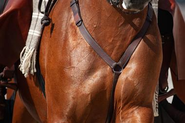Prado Equestrian Center