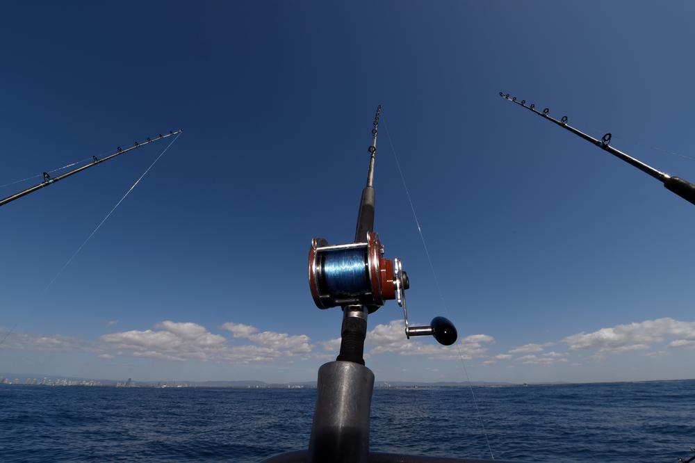 Reel In Big Catches with Fish The World Charters