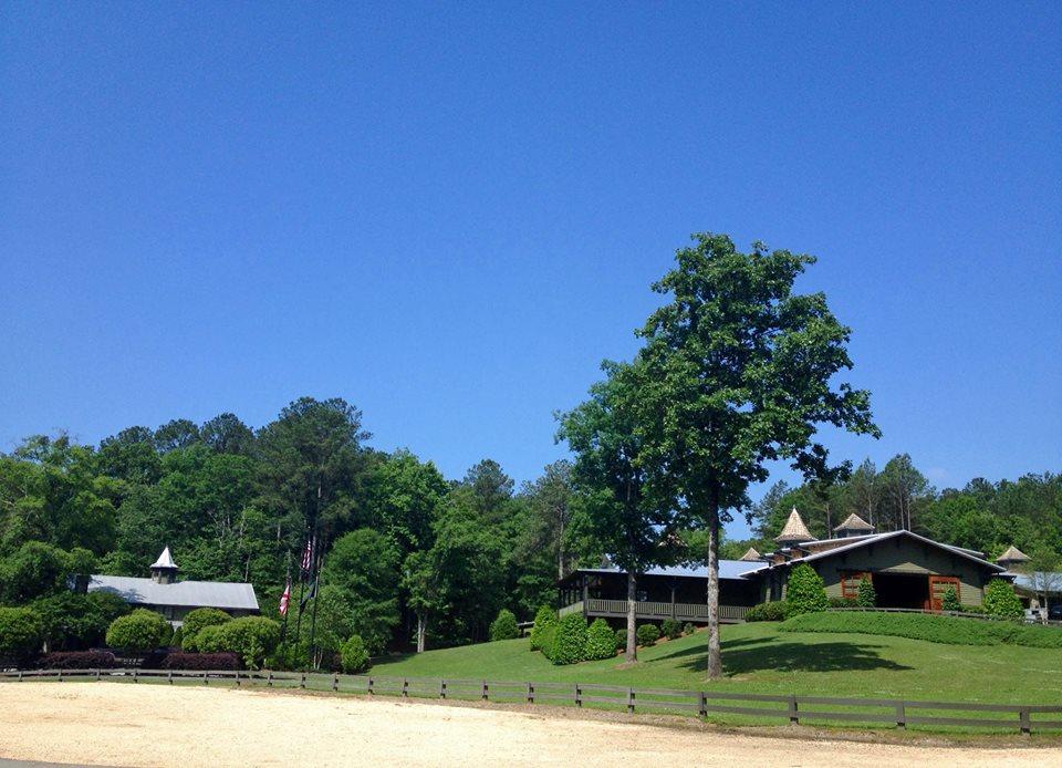 Ride with Grace at Windwood Equestrian
