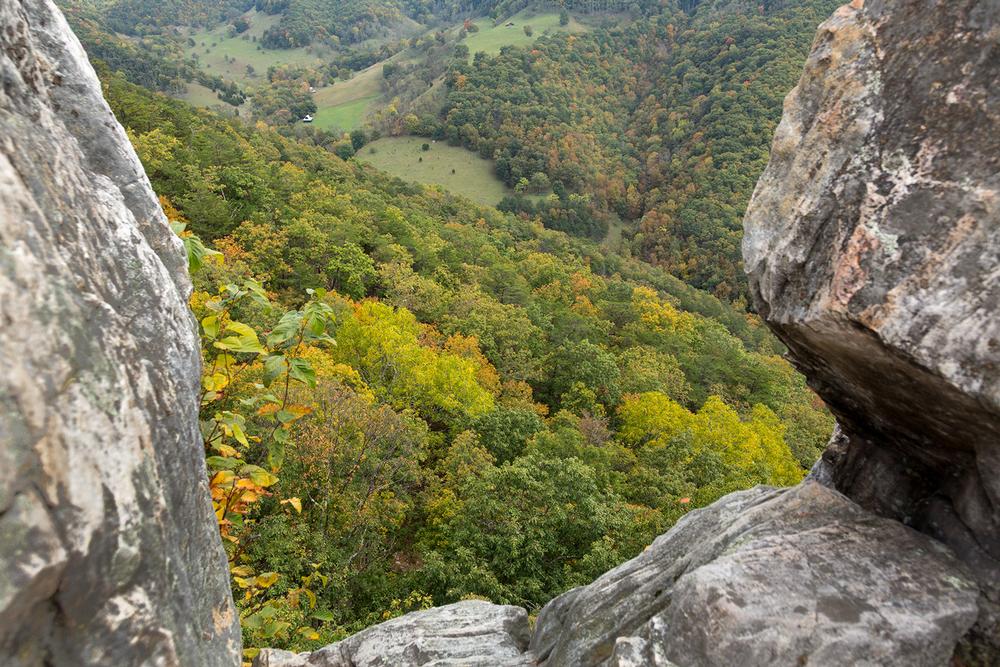 Ride horses through forest trails and enjoy mountain sights on a relaxing fall trip.
