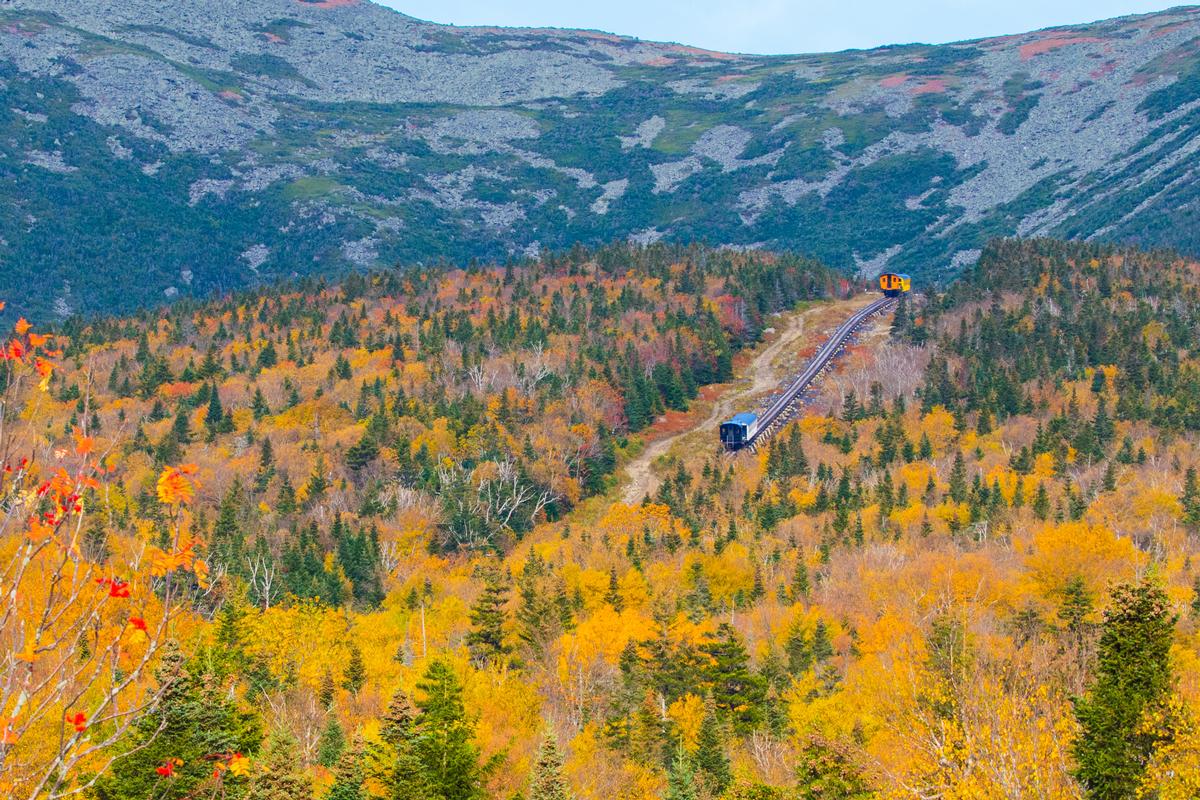 Ride historic trains, admire panoramic views on an exciting mountain journey.