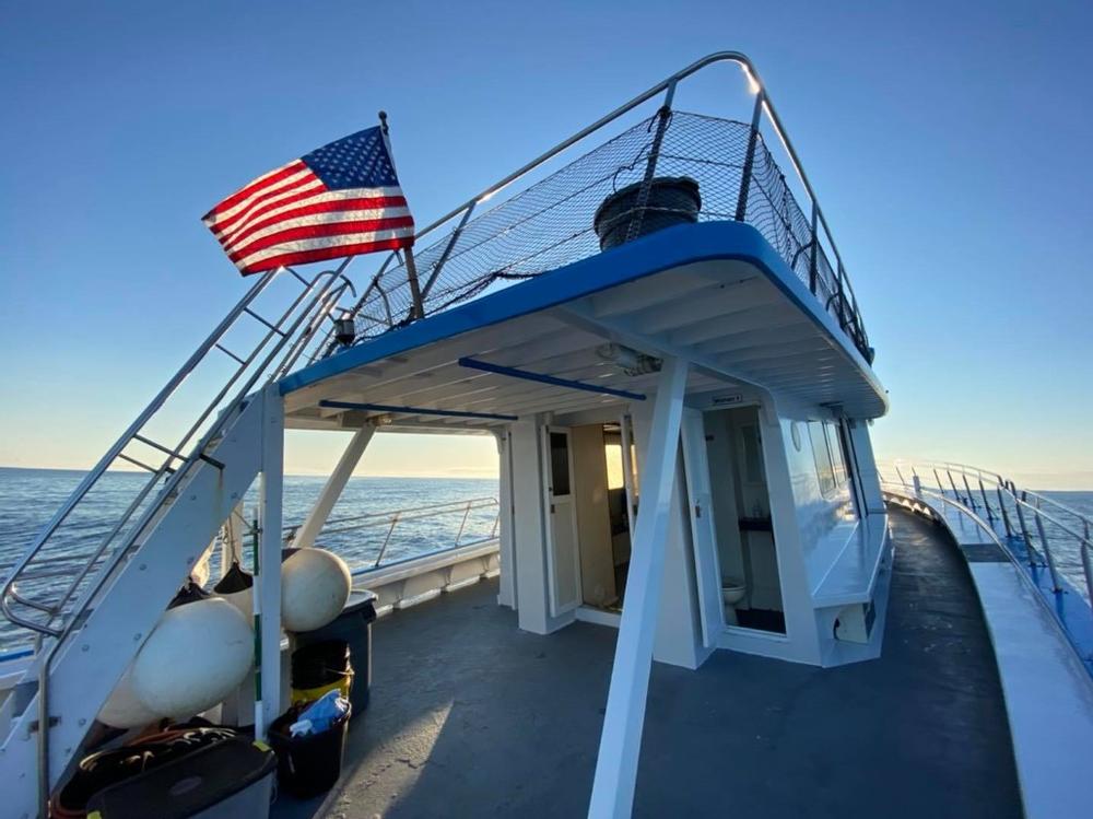 Set Sail for Adventure with Granite State Whale Watch