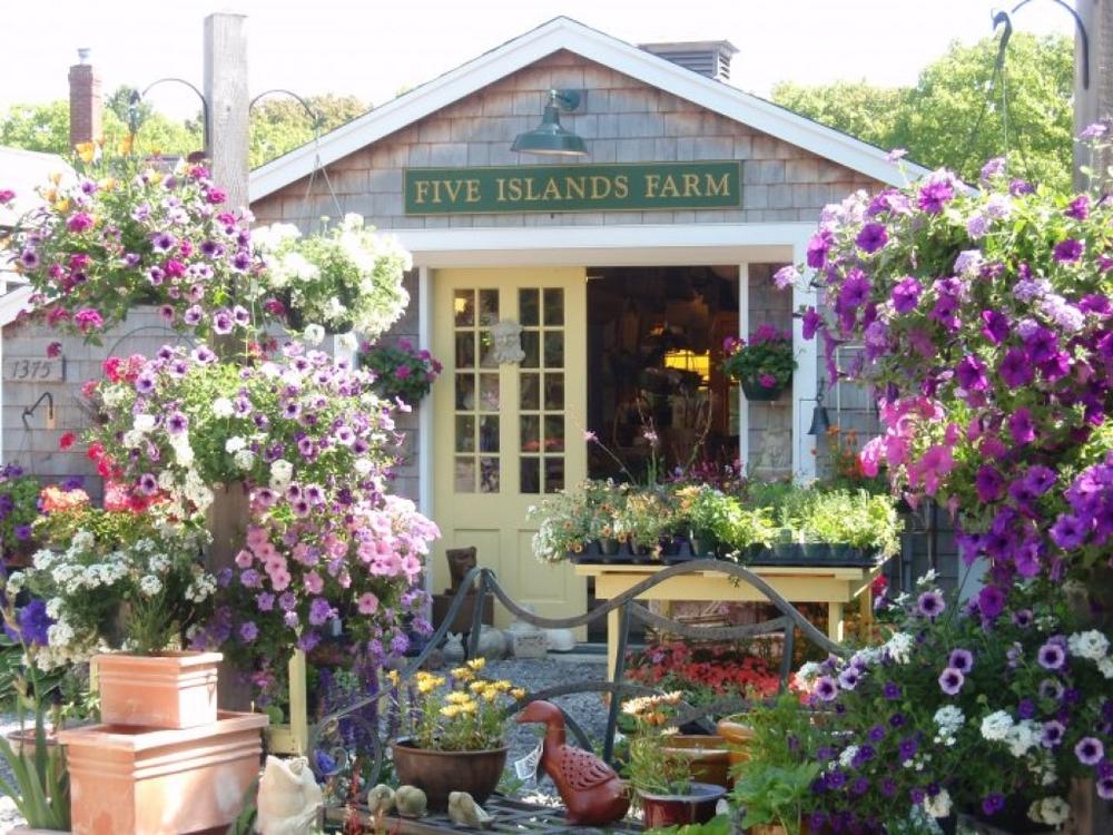 Shop for cheese at the Five Islands Farm