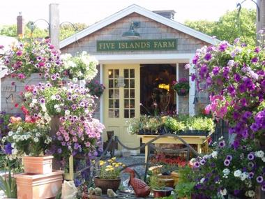 Shop for cheese at the Five Islands Farm