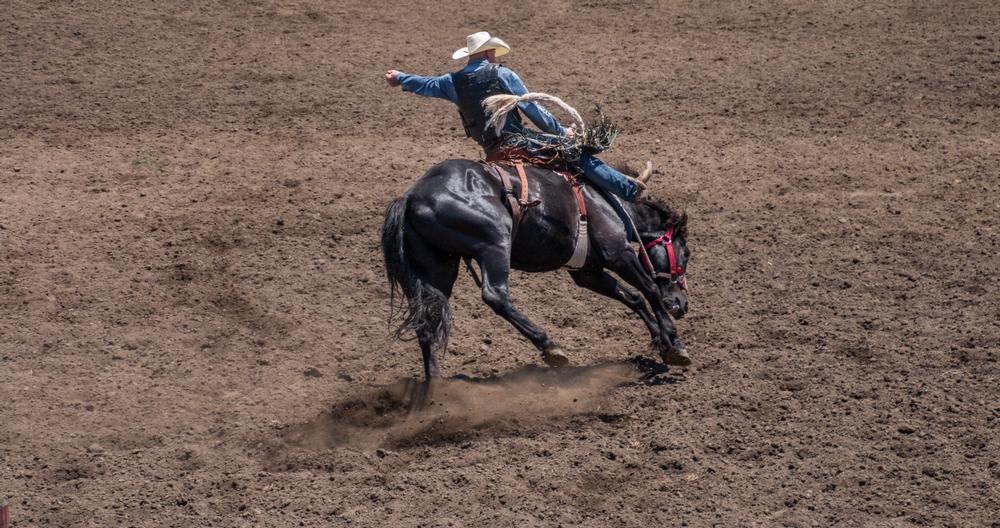 Snowmass Rodeo