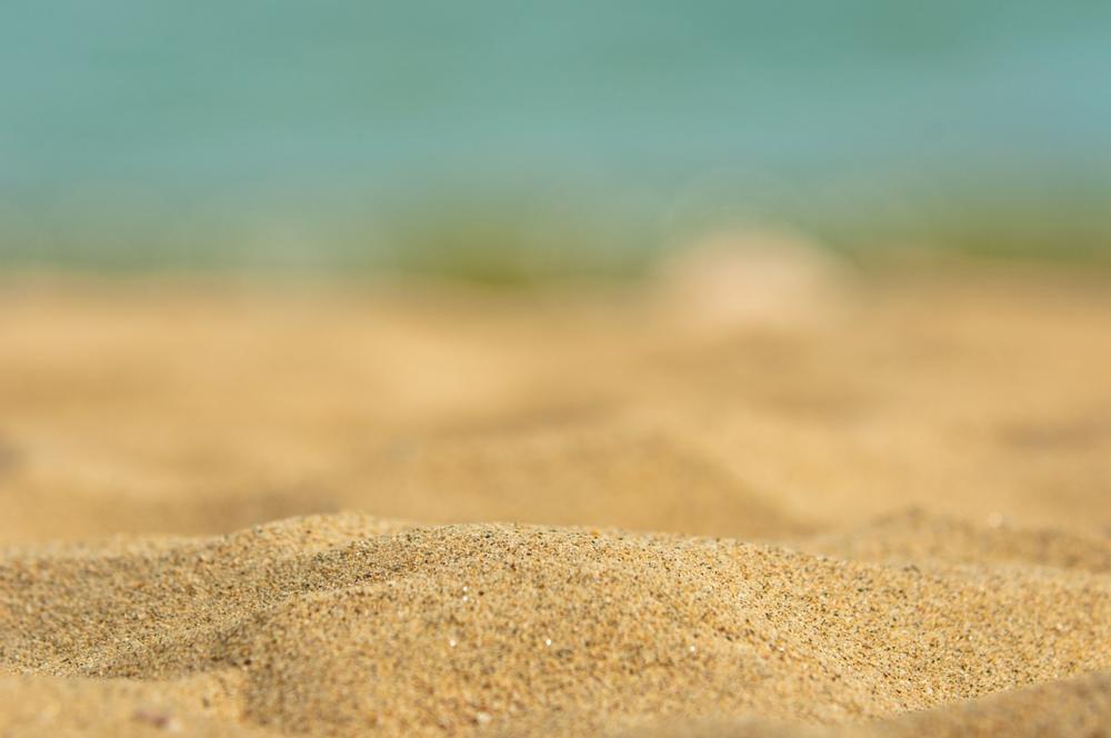 Swim, Play, and Relax at Ocean Beach Park