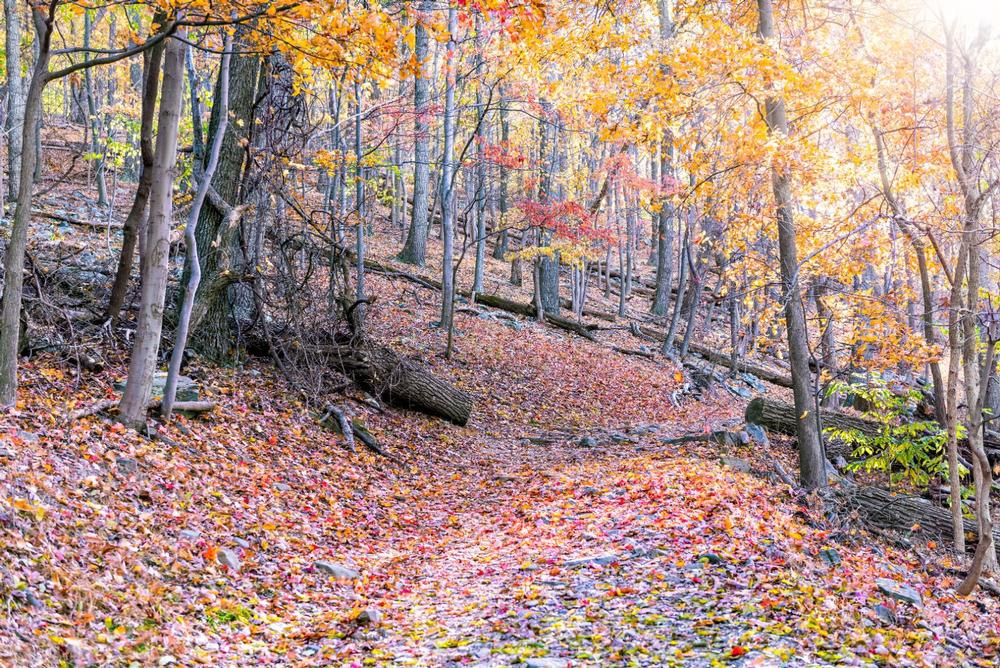 Trek a Legendary Path Along the Appalachian National Scenic Trail