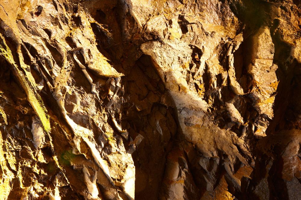 Unearth Hidden Worlds in the Depths of Raccoon Mountain Caverns