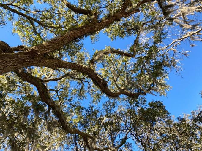 18 Best Things to Do in Bluffton, SC