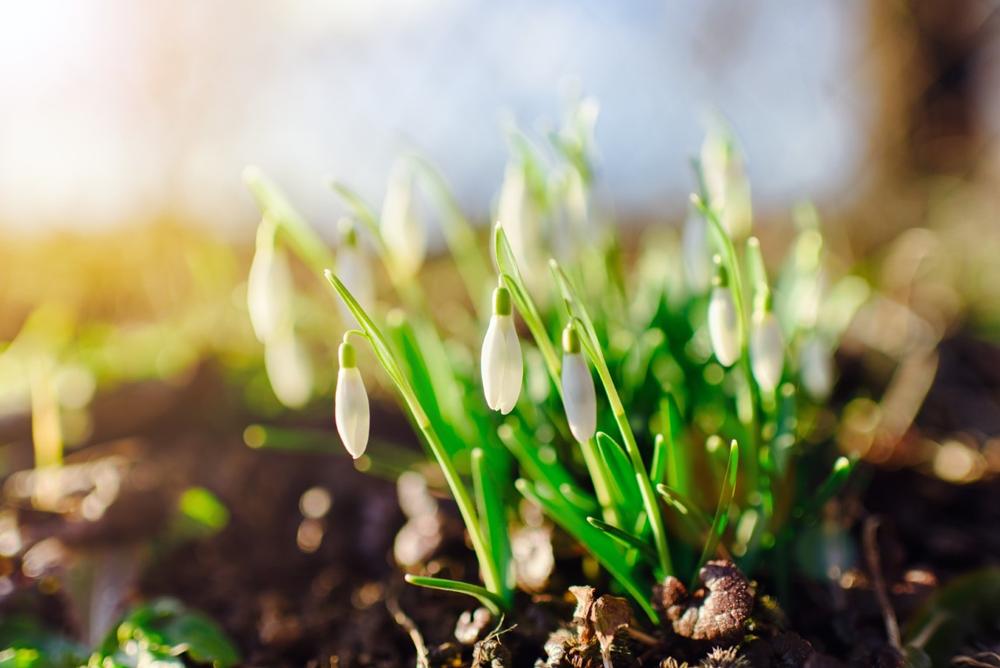 Wander Through Themed Gardens and Trails at the Cornell Botanic Gardens