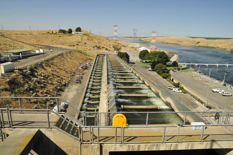 Watch Power and Progress in Action at Ice Harbor Dam