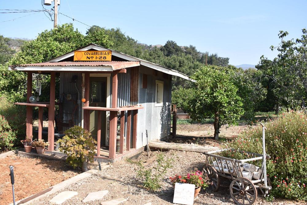 Witness Nature’s Magic at Coronado Butterfly Preserve