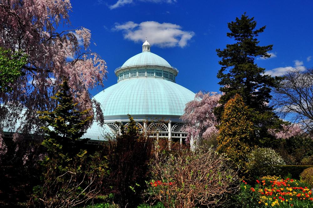 Admire the historical Enid A. Haupt Conservatory