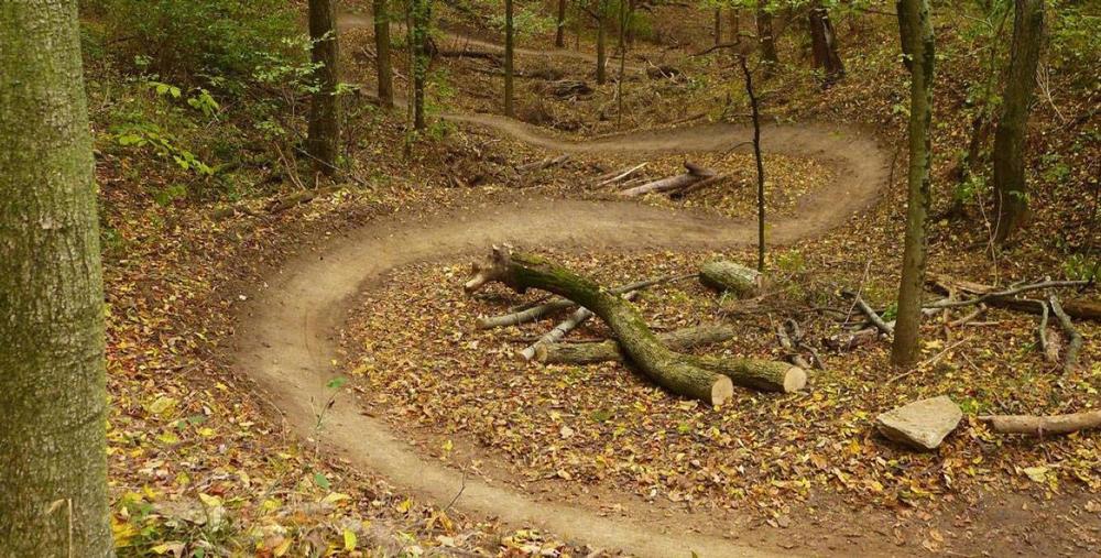 Bike or Hike Through Beautiful Forest Trails on the DTE Energy Foundation Trail