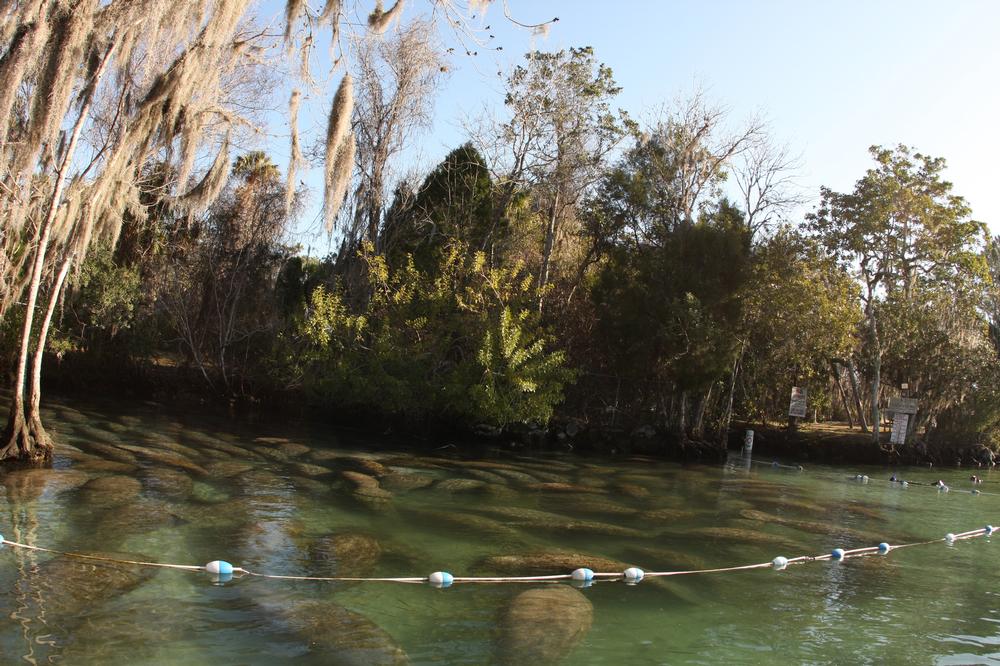 Camp, Fish, and Hike at Lake Manatee State Park