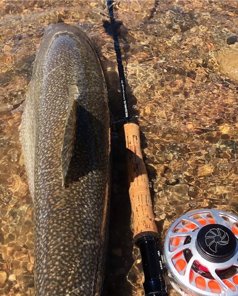Cast Like a Local with Cutthroat Anglers